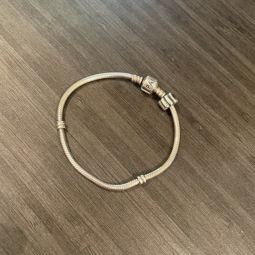 COPY - Pandora Moments Snake Chain Bracelet and a charm